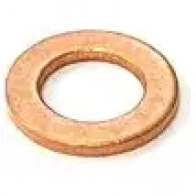 Уплотнительное кольцо ELRING 100.900 5SPOJY V 105836 4041248007297