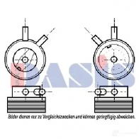 Масляный радиатор двигателя AKS DASIS 156120n QSZ TWF 4044455283973 870432