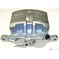 Тормозной суппорт PAGID 75187 1205315042 13X7I 2X6W 4