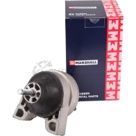 Подушка двигателя (опора) / КПП Ford: Focus 00- MARSHALL 1441201582 AH3 5R M8080308