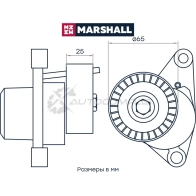 Натяжитель ремня Citroen C3 I, II 02-, C4 I, II 04-, Peugeot 207 06-, 307 00-, 308 I 07- MARSHALL MS3767 POL PH 1441202217 - Изображение 2