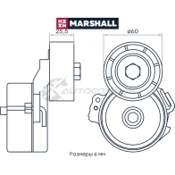 Натяжитель ремня Citroen Berlingo I 96-, Jumpy I 98-, Peugeot Expert I 98-, Partner I, II 96- MARSHALL NGSIW9 Y MS4833 1441202413 - Изображение 2