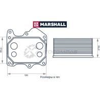 Радиатор масляный Citroen Jumper II 06-, Ford Transit VII, VIII 06-, Peugeot Boxer II 06- MARSHALL M4991089 6Y VXCU6 1441202914 - Изображение 2