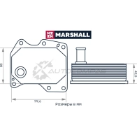 Радиатор масляный Ford Transit VII, VIII 06- MARSHALL M4991092 1441202915 IU YO1 - Изображение 2
