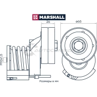 Натяжитель ремня Skoda Fabia II 06-, VW Golf V, VI 03-, Jetta V, VI 04-, Tiguan I 07- MARSHALL MS7964 1441205922 02 WRQ - Изображение 2