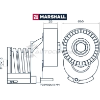 Натяжитель ремня Skoda Fabia II 06-, Octavia (A5) 04-, Rapid 12-, VW Polo Sedan 10-, Tiguan I 07- MARSHALL 1441205923 5 H4X9V MS8849 - Изображение 2