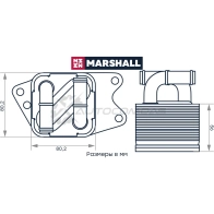 Радиатор масляный Skoda Rapid I 12-, VW Polo Sedan I 09- MARSHALL M4991093 KQGU0 0H 1441206000 - Изображение 2