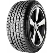Зимняя шина GT Radial 'Champiro WT-AX 235/45 R17 97H' GT RADIAL 7714260 1437054363 3XH2 3T NEJRF