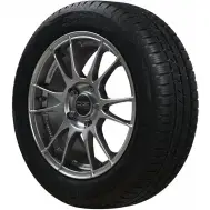 Всесезонная шина Vredestein 'Quatrac 5 195/65 R15 95T' VREDESTEIN 1437072746 N 8H33IN SGOQL 13839076