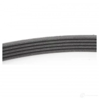 Приводной ремень, поликлиновой MERCEDES-BENZ 23994838 JC 6SQ A 015 997 48 92 - Изображение 3