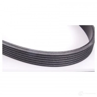 Приводной ремень, поликлиновой MERCEDES-BENZ S 27YH8 A 014 997 71 92 24030434 - Изображение 3