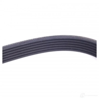 Приводной ремень, поликлиновой MERCEDES-BENZ JUU9 3H A010997799264 24142408 - Изображение 3