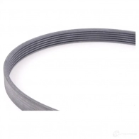 Приводной ремень, поликлиновой MERCEDES-BENZ 147YMJ TXNSF Z0 1272216923 A0039937596 - Изображение 1