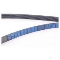 Приводной ремень, поликлиновой MERCEDES-BENZ 147YMJ TXNSF Z0 1272216923 A0039937596 - Изображение 3