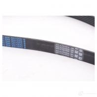 Приводной ремень, поликлиновой MERCEDES-BENZ NG3 5AW A 002 993 89 96 24014844 - Изображение 2