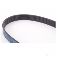 Приводной ремень, поликлиновой MERCEDES-BENZ NG3 5AW A 002 993 89 96 24014844 - Изображение 3