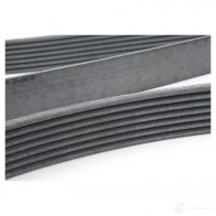 Приводной ремень, поликлиновой MERCEDES-BENZ N KPQTD A 002 993 50 96 23990824 - Изображение 3