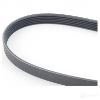Приводной ремень, поликлиновой MERCEDES-BENZ QZH4I Q A 002 993 09 96 24142388 - Изображение 3