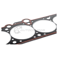 Прокладка головки блока METACO 2110-002 ZPBI F 1441301329 - Изображение 3