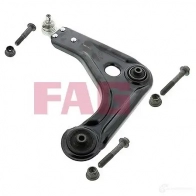 Рычаг FAG Q9QDR QW Ford KA 1 (CCQ, RB) Хэтчбек 1.3 i 49 л.с. 1998 – 2008 821024710