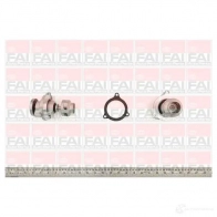 Водяной насос, помпа FAI AUTOPARTS Ford Fiesta 4 (DX, JA, JB) Хэтчбек 1.0 i 65 л.с. 1999 – 2002 5027049240124 NO7E5 MF wp6407