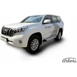 Комплект алюминиевых порогов Arbori 1437093786 8YV A29 8RL5Y9 afzdaaltop1402