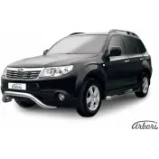 Кенгурятник мини нержавеющая сталь Arbori T2YP R afzdasf04 1437093276 IXSBAFB