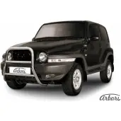 Кенгурятник высокий нержавеющая сталь Arbori SKLFR 1437093134 afzdatat04 ZRR TI