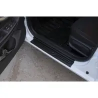 Накладки внутренние пороги дверей Russkaya Artel 1437115109 nl151102 6ZM8L RG B14 - Изображение 4