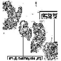 Ступица колеса FEBEST 05826f 4056111046365 V47ETG 2 3823733 - Изображение 2