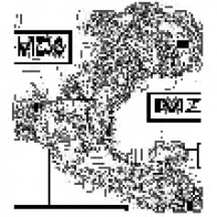 Рычаг FEBEST 3823633 Y XCI4DD 0524mz3rh 4056111049557 - Изображение 2