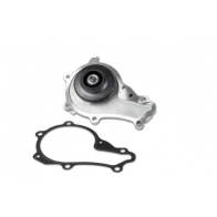 Комплект ремня ГРМ с помпой MOTORCRAFT 2008683 Ford C-Max 1 (CB3, DM2) Минивэн 1.6 Duratorq TDCi 109 л.с. 2007 – 2010 AT HZX