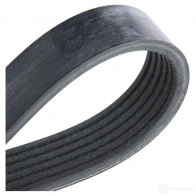 Приводной ремень поликлиновой FEBI BILSTEIN 29014 6PK2226 1076142 6PK 2225 - Изображение 4