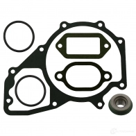 Прокладка водяного насоcа, помпы FEBI BILSTEIN 31549 HNM HM2 1078416 4027816315490