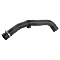 Шланг радиатора FEBI BILSTEIN 1437396974 170441 W36D2 Z9