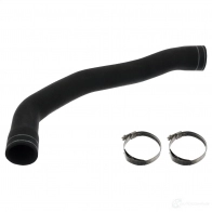 Шланг радиатора FEBI BILSTEIN 4054224012383 1201057686 101238 7XCVA LL