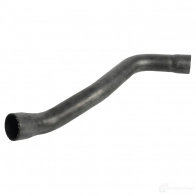 Шланг радиатора FEBI BILSTEIN 108752 ZD1T JF 1437397156