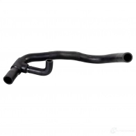 Шланг радиатора FEBI BILSTEIN 175770 1438001422 7WP9C4 Y