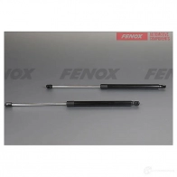 Амортизатор багажника FENOX 1440005533 TW17N3 W A908067