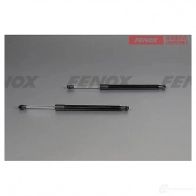 Амортизатор багажника FENOX A908207 VS LWEV 1439995751