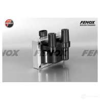 Катушка зажигания FENOX 1422982818 IC16010O7 2OT PSJ