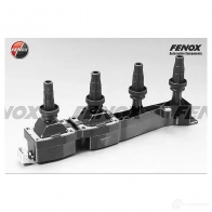 Катушка зажигания FENOX 2245502 IC16062 X0M VX