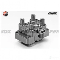 Катушка зажигания FENOX IC16066 2245505 FAR4 RM