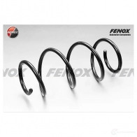 Пружина подвески FENOX X3M 6WXD SPR16030 2248172