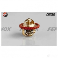 Термостат FENOX TS010 2249848 VW W051S