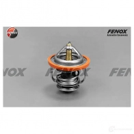 Термостат FENOX TS099 2249899 N8 V1V