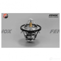Термостат FENOX TS102 O HKJW 2249901