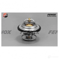 Термостат FENOX TS107 2249904 X 2AJS0
