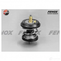 Термостат FENOX TS111 2249906 O4LH 54