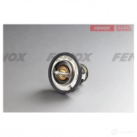 Термостат FENOX 8A 1TSNQ 1439996447 TS174